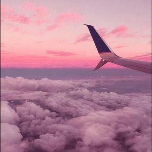 Meet your Posher, Sienna